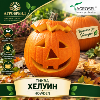 Тиква Хелуин | Agrosel