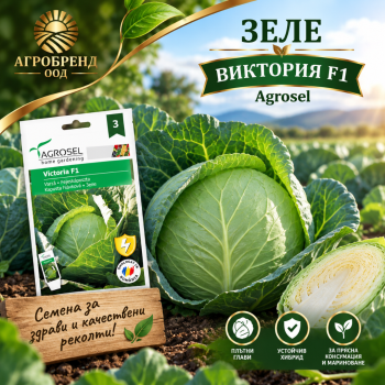 Зеле Виктория F1 Agrosel