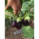 Патладжан 8005 F1 | 8005 F1 |