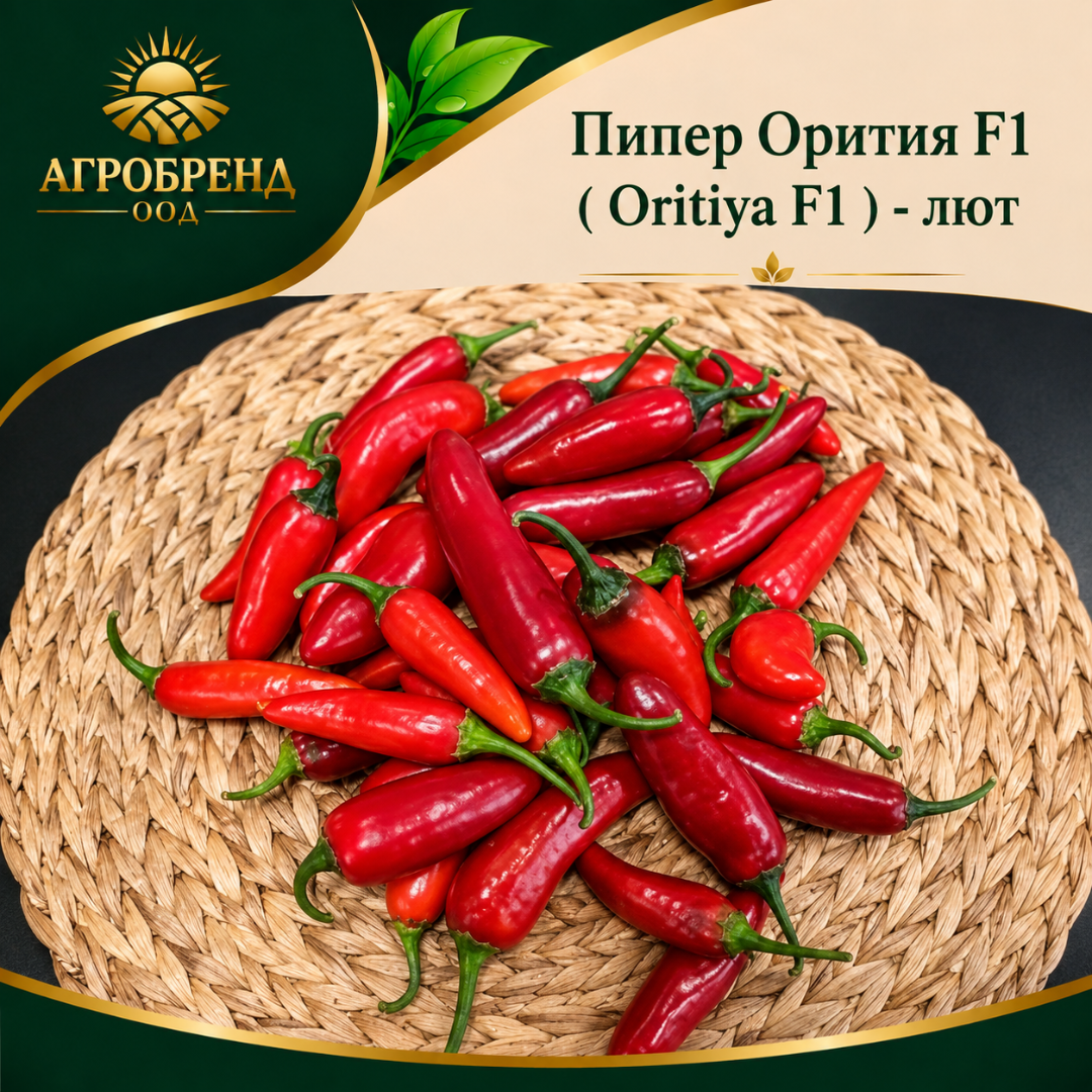 Пипер Орития F1 / Oritya F1 / - лют