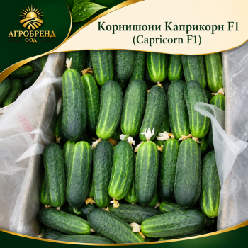 Корнишони Каприкорн F1 ( Capricorn F1 )