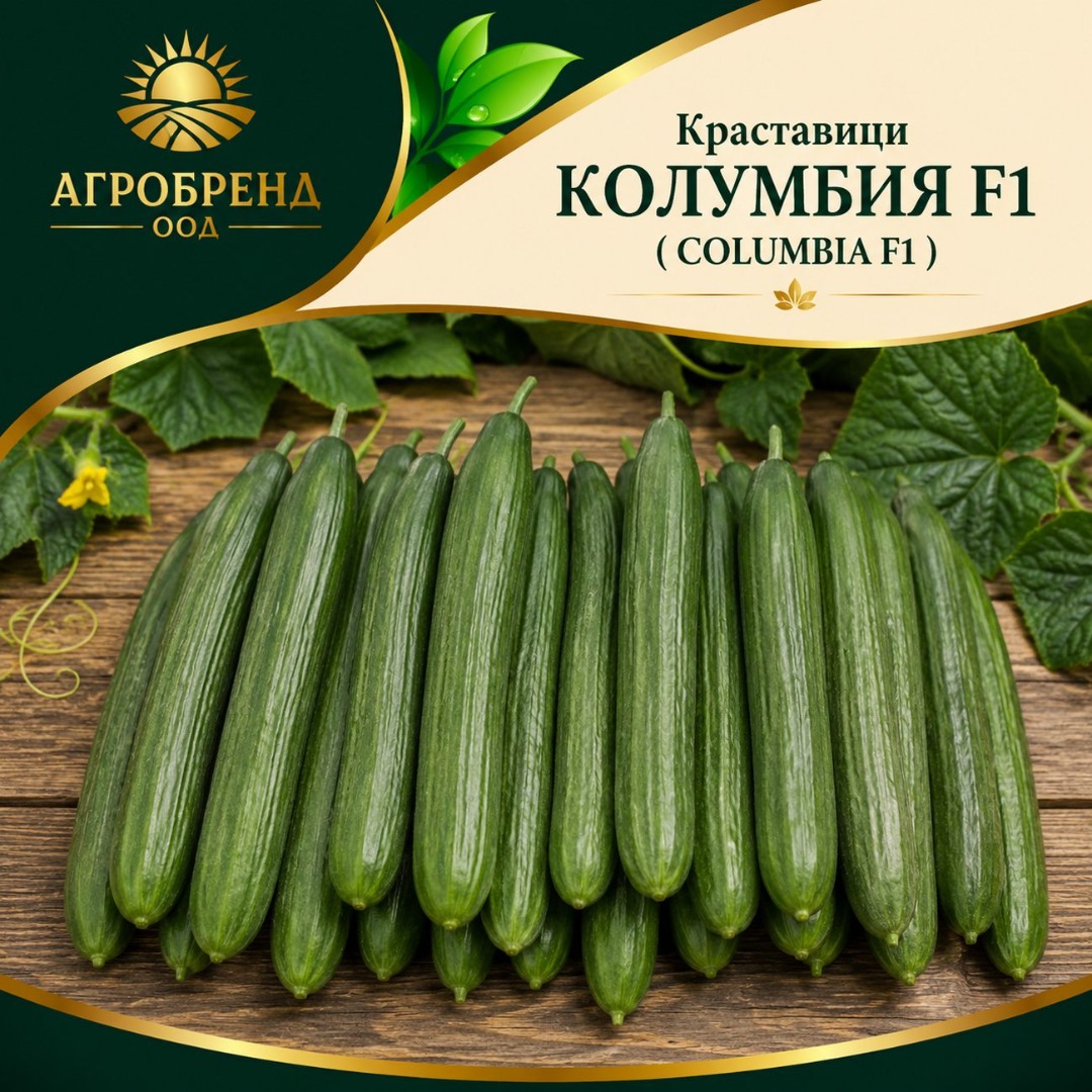 Краставици Колумбия F1 ( Columbia F1 ) Краставици Колумбия F1 ( Columbia F1 )