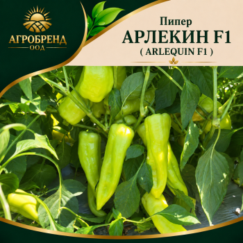 Пипер Арлекин F1 ( Arlequin F1 )