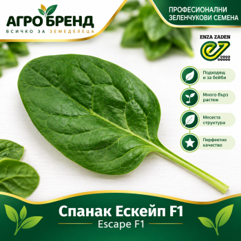 Спанак Ескейп F1 | Escape F1 |