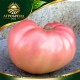 Домати Роял Пинк F1 | Royalpink F1 |