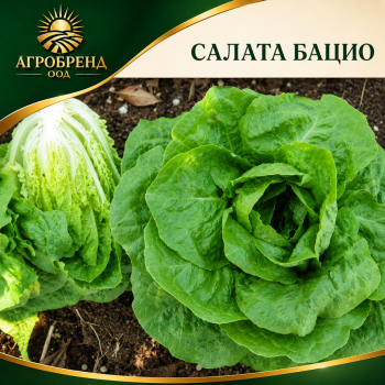 САЛАТА БАЦИО (BACIO) F1