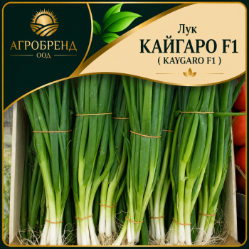 Лук Кайгаро F1 / Kaygaro F1 /