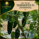 ЛЮТ ПИПЕР ТЕНИЕНТЕ F1 (TENIENTE)