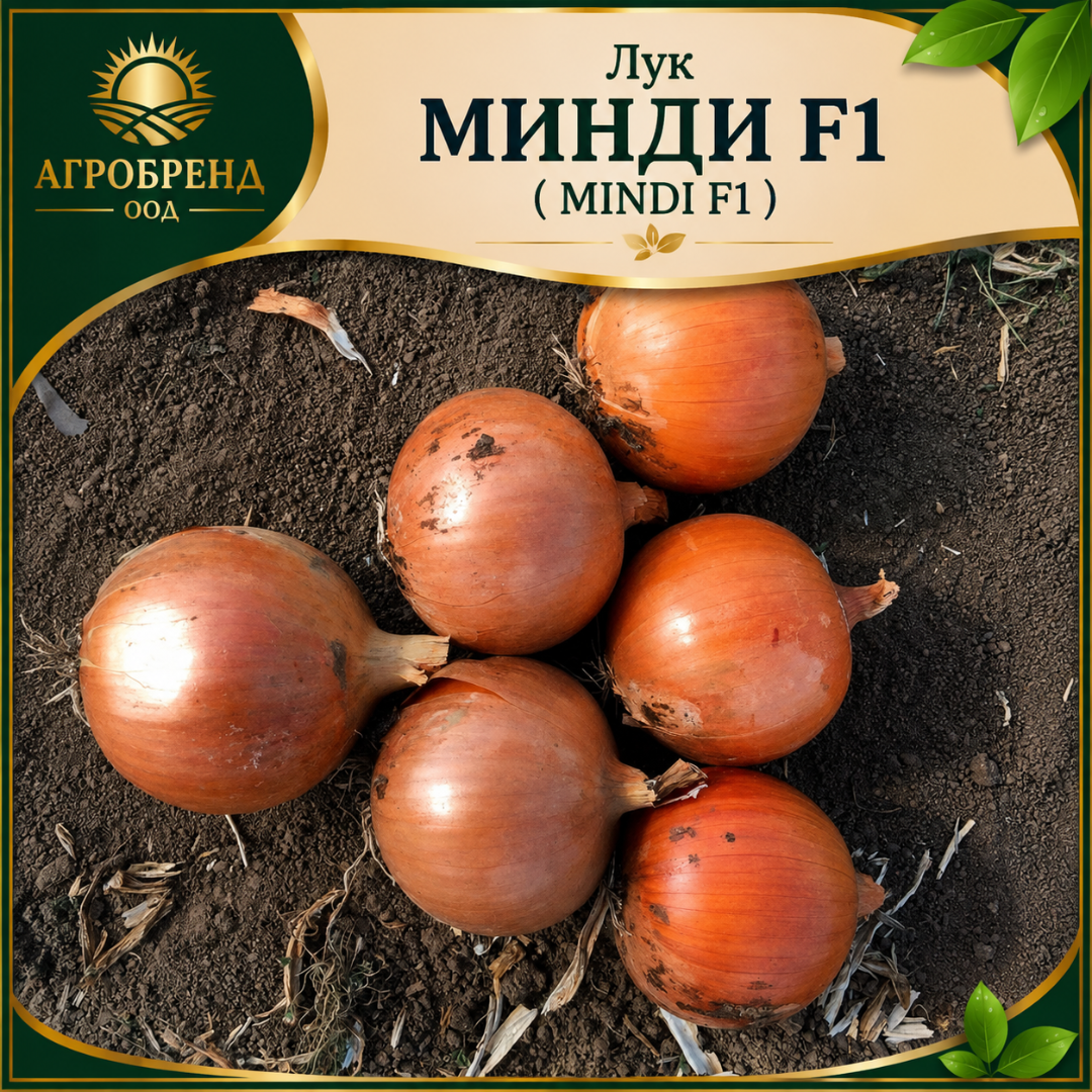 Лук Минди F1 / Mindi F1 /