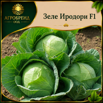 Зеле Иродори F1 ( Irodori F1 )