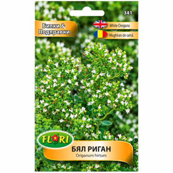 Бял Риган | Origanum heracleoticum |
