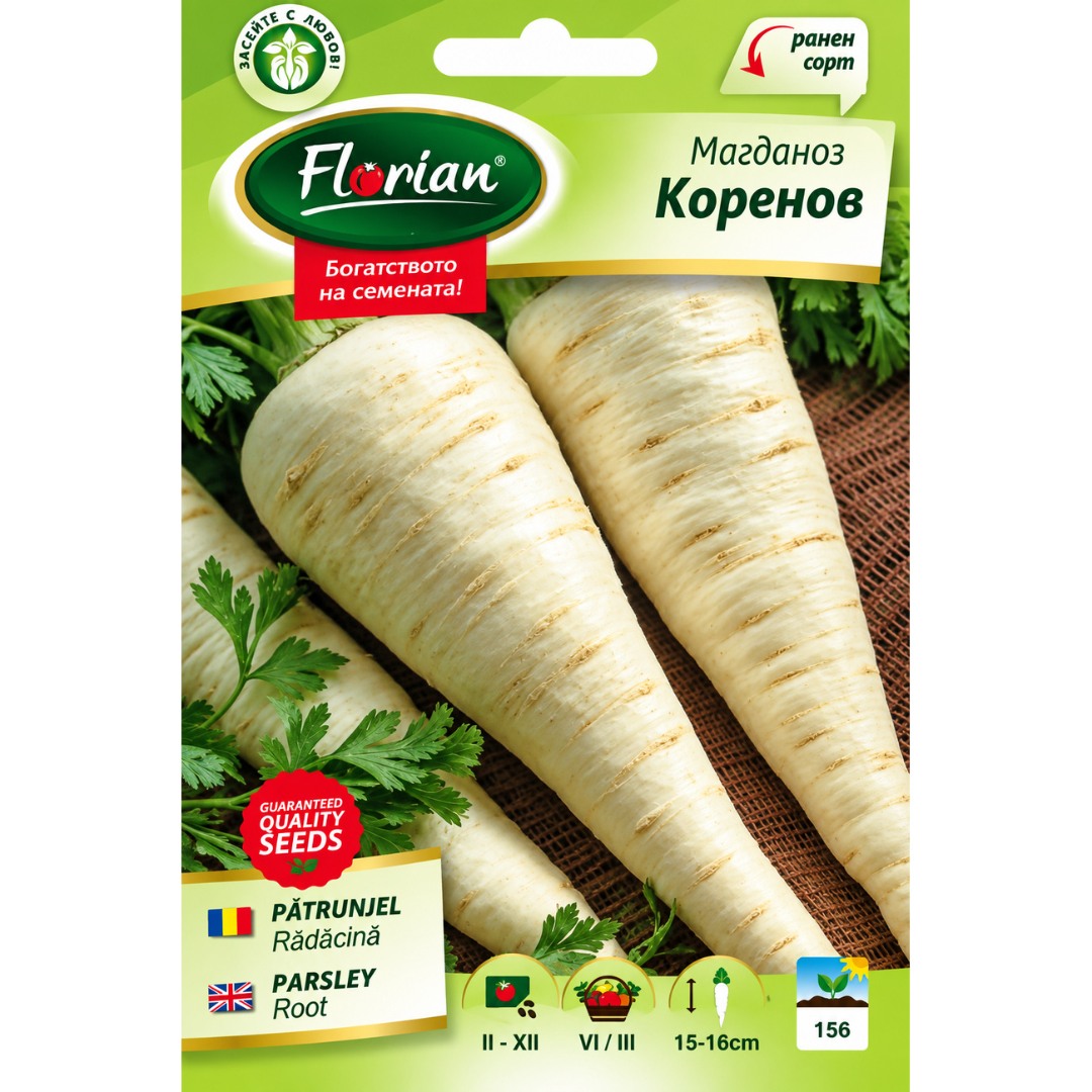 МАГДАНОЗ КОРЕНОВ | Parsley root |