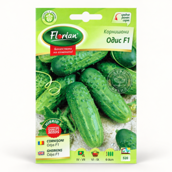 Корнишони Одис F1 | Odis F1 |