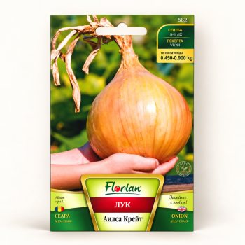 Лук Аилса Крейг – гигант | Ailsa Craig |