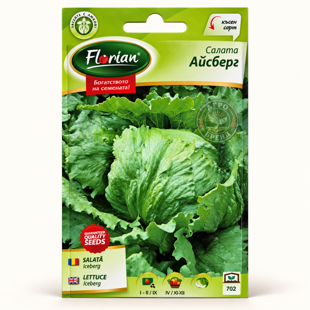 Салата Айсберг | Iceberg Lettuce |