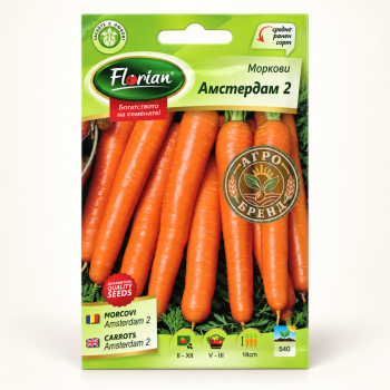 Моркови Амстердам 2 | Amsterdam 2 |