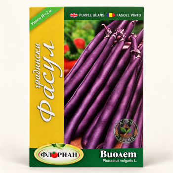 Фасул Парпъл Куин - Виолет | Purple Queen |