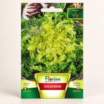 Ендивия | Cichorium endivia |