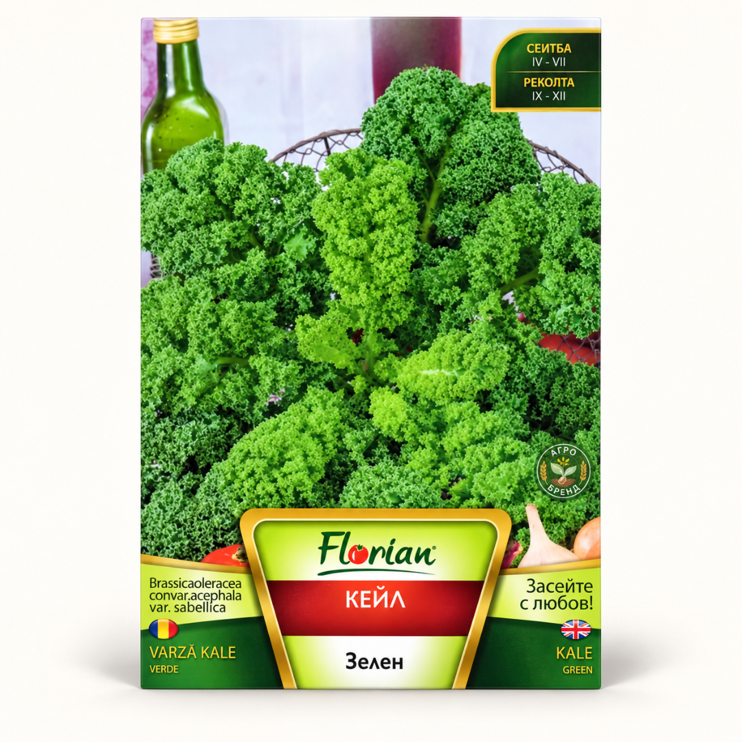 Кейл Зелен | Green Kale |