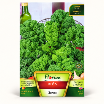 Кейл Зелен | Green Kale |