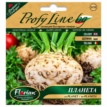 Главеста Целина Планета | Apium graveolens var. rapaceum |