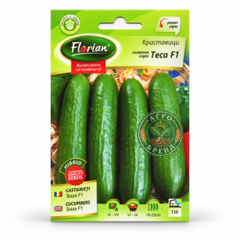 Краставица Теса F1 | Tesa F1 |