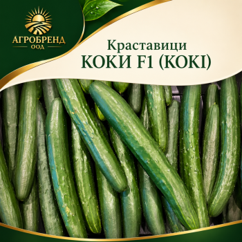 Краставици КОКИ F1 (KOKI)