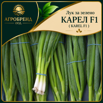 Лук за зелено Карел F1 (Karel F1)