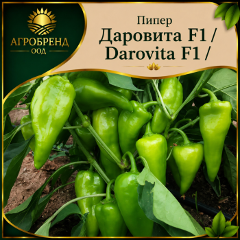 Пипер Даровита F1 ( Darovita F1 )
