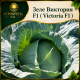 Зеле Виктория F1 / Victoria F1 /