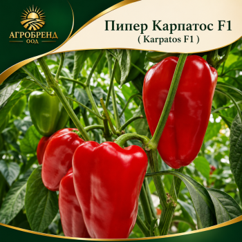 Пипер Карпатос F1 / Karpatos F1 /