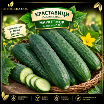 Краставици Маркетмор