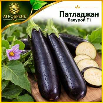 Патладжан Балурой F1