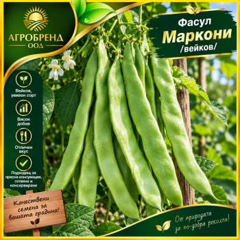 Фасул Маркони |вейков|