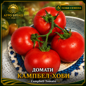 Домати Кампбел-Хоби