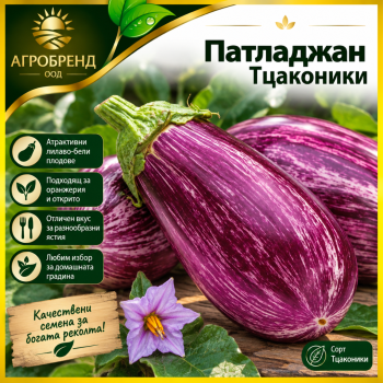 Патладжан Тцаконики | Hortus
