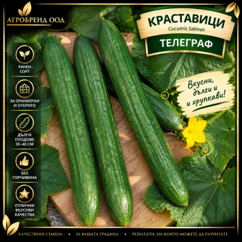 Краставици Телеграф