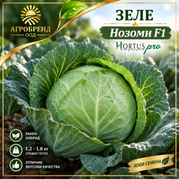 Зеле Нозоми F1 - хоби |  Hortus Pro |
