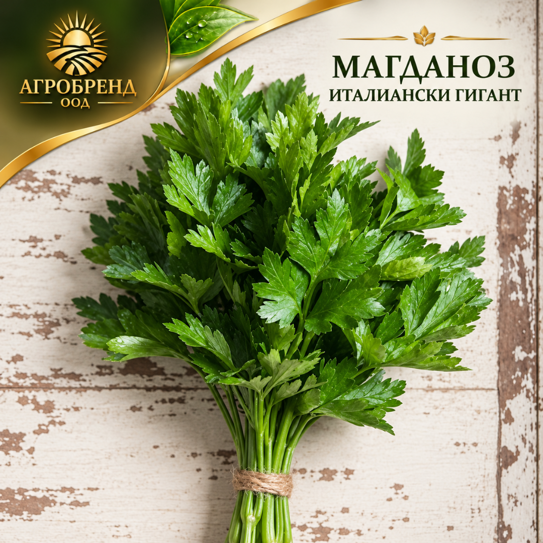 Магданоз Италиански гигант | Italian Giant | Hortus