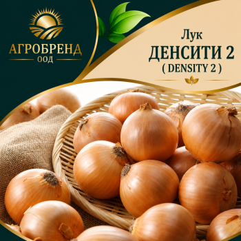 Лук Денсити 2 ( Density 2 )