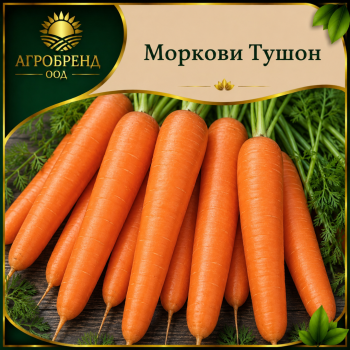Моркови Тушон - Hortus
