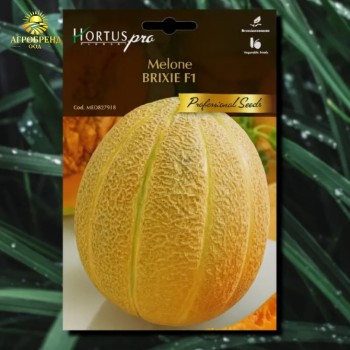 Пъпеш БРИКСИ F1 | Brixie F1 | Пъпеш БРИКСИ F1 | Brixie F1 |
