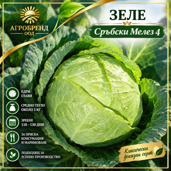 Зеле Сръбски Мелез 4