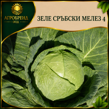 Зеле Сръбски Мелез 4