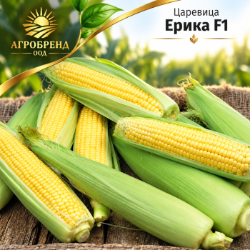 Царевица Ерика F1 |Erika F1 |