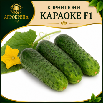 Корнишони Караоке F1 / Karaoke F1 /