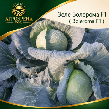 Зеле БОЛЕРОМА F1 (BOLEROMA)