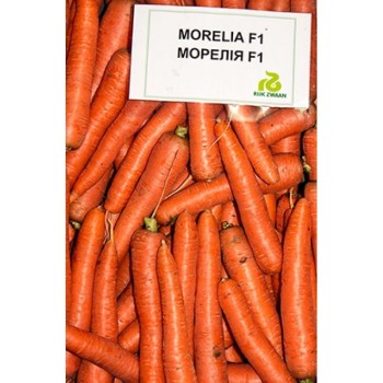Моркови Морелия F1 ( Morelia F1 )