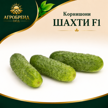 Корнишони Шахти f1 / Shakthi F1 /