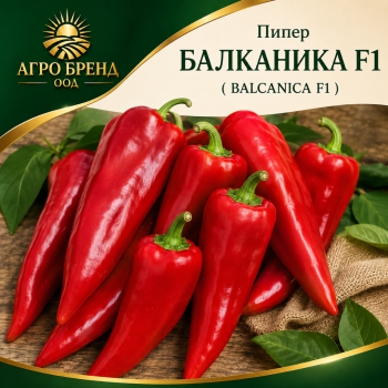 Пипер Балканика F1 ( Balcanica F1 )